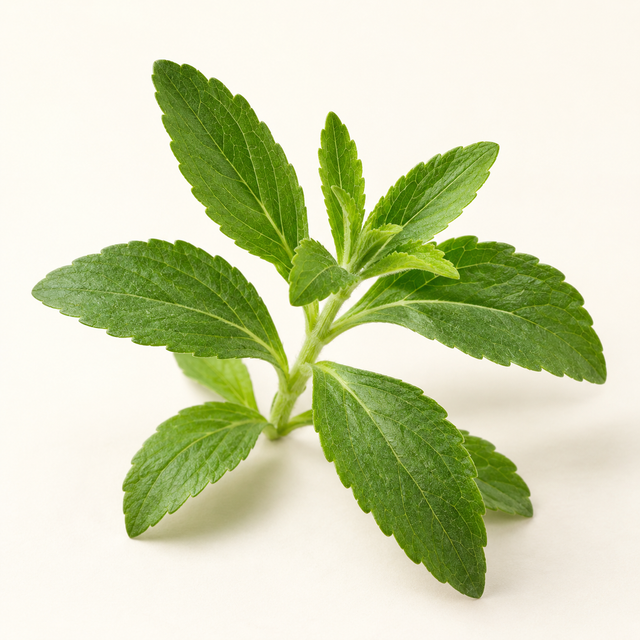Stevia
